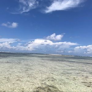 Meet your Posher, Ellen